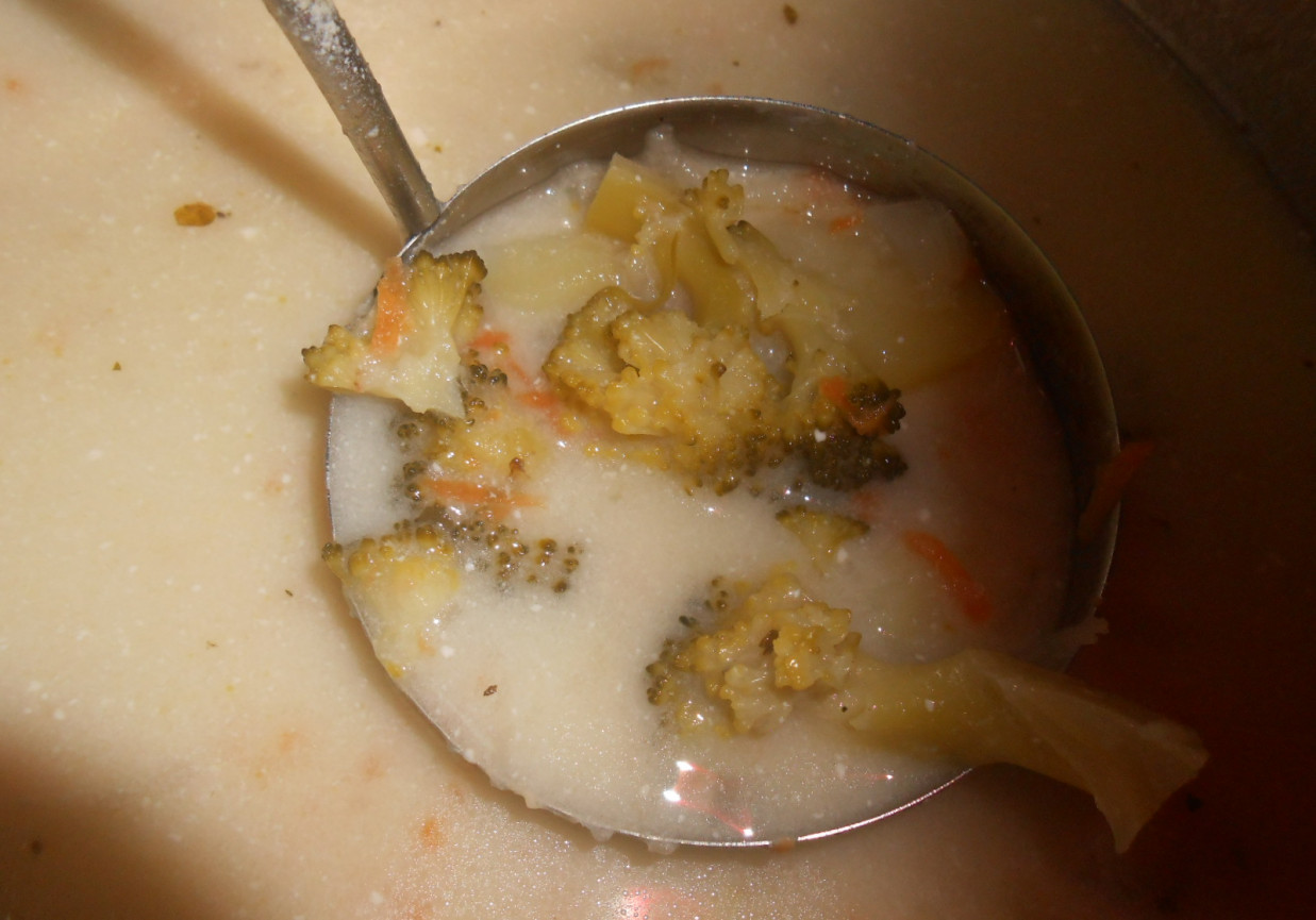 Zupa brokułowa piątkowa foto