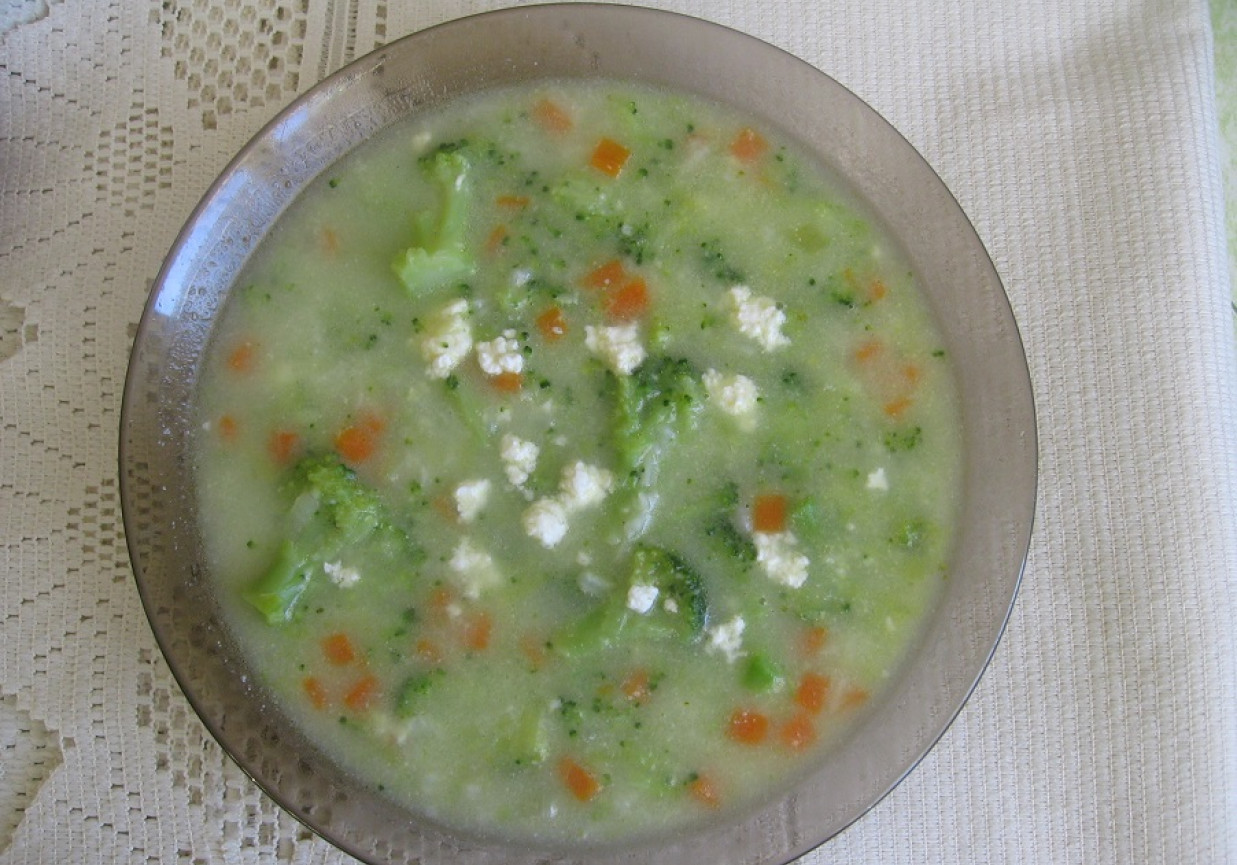 Zupa brokułowa z ryżem i białym serem foto