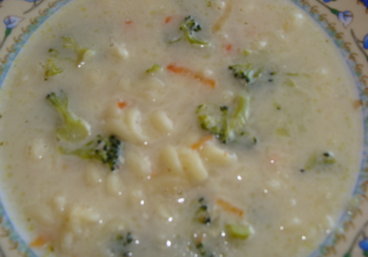 zupa brokułowa foto