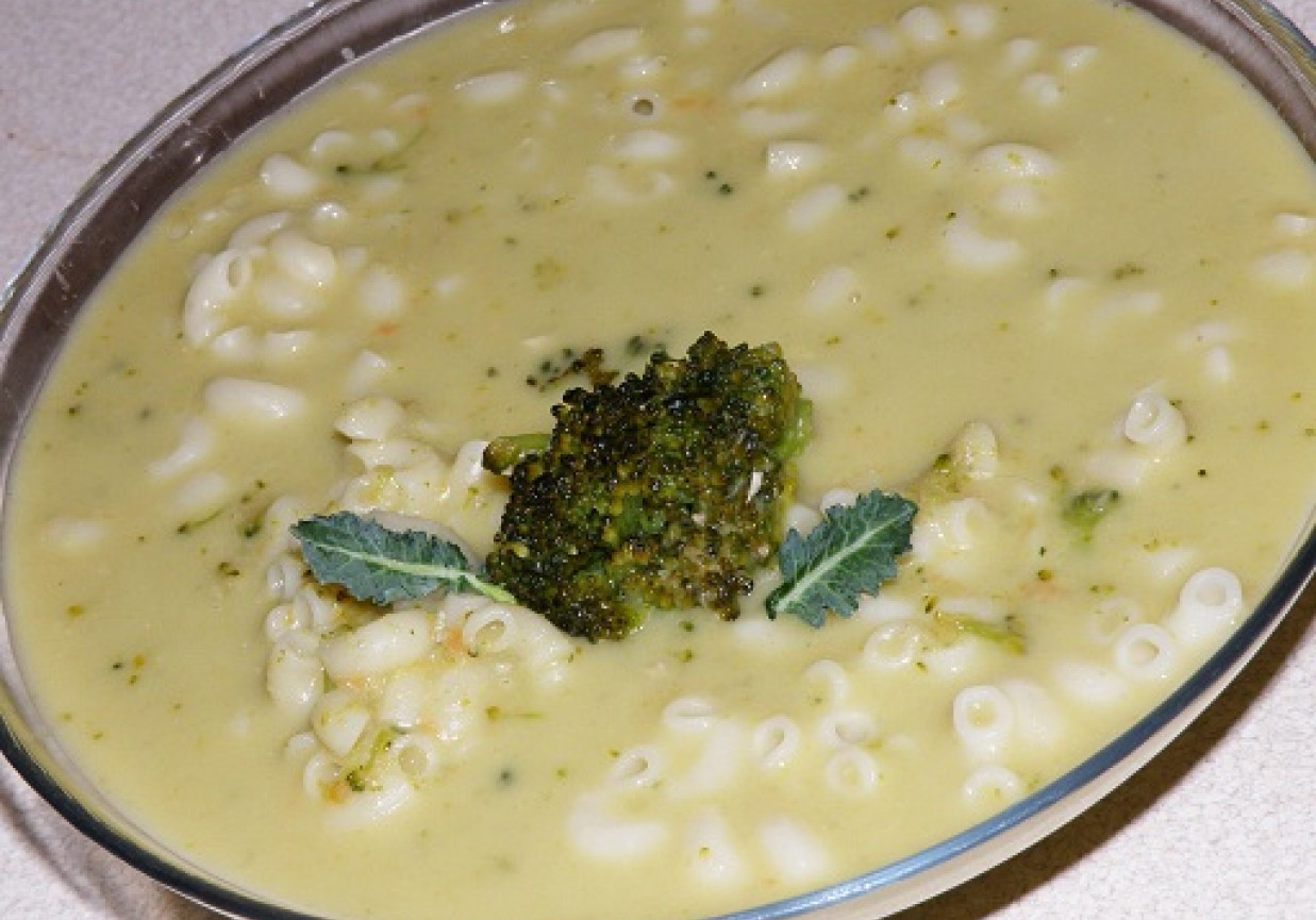 Zupa brokułowo-marchewkowa z serkiem topionym foto
