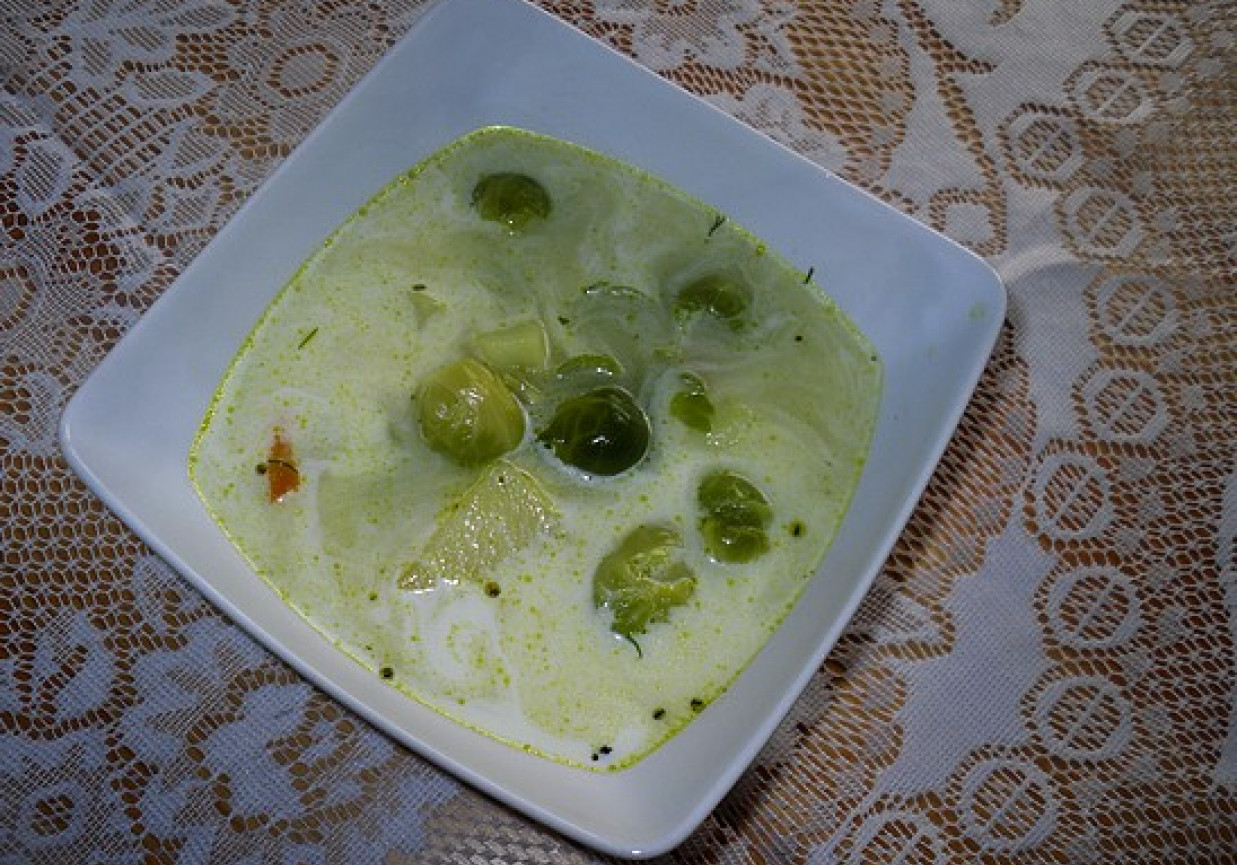 Zupa brukselkowa z tartą marchewką foto
