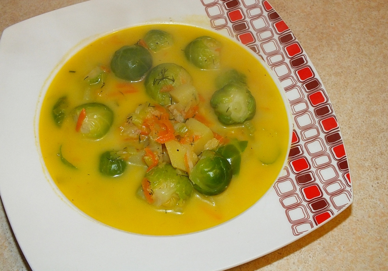 Zupa brukselkowa z tartymi warzywami foto