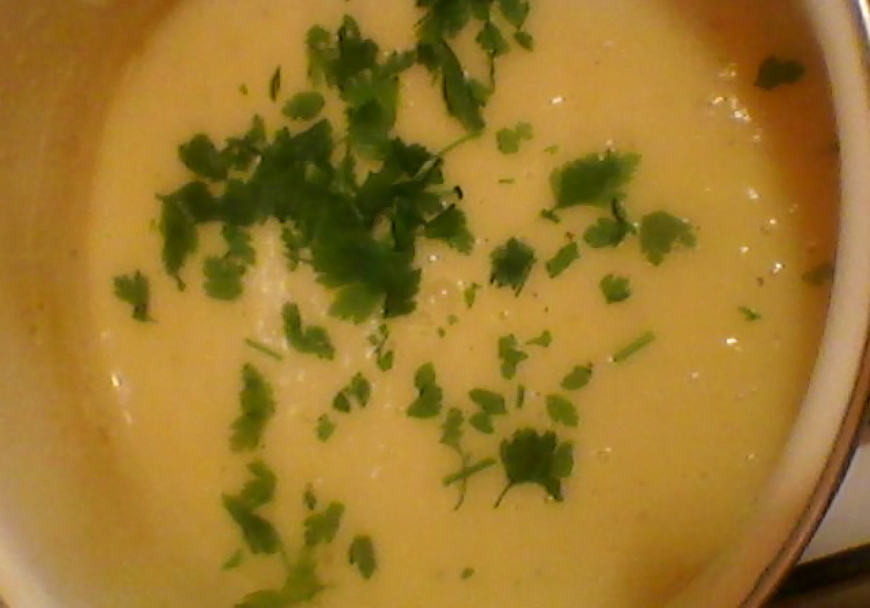 Zupa cebulowo- ziemniaczana foto