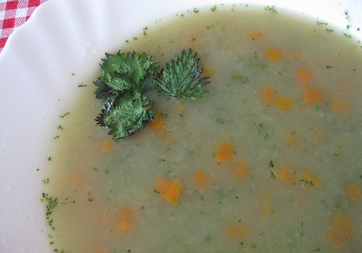 Zupa cebulowo-pokrzywowa foto