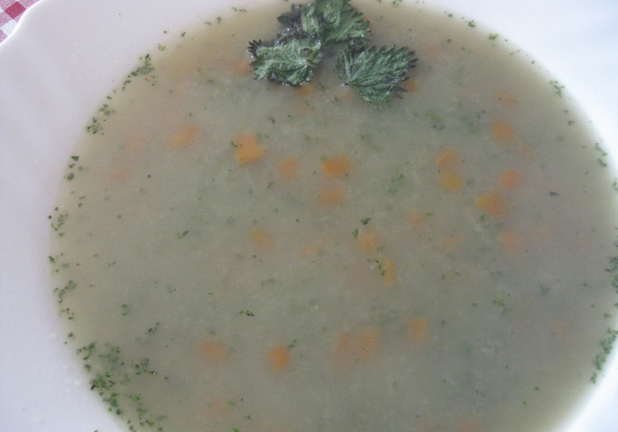 Zupa cebulowo-pokrzywowa foto
