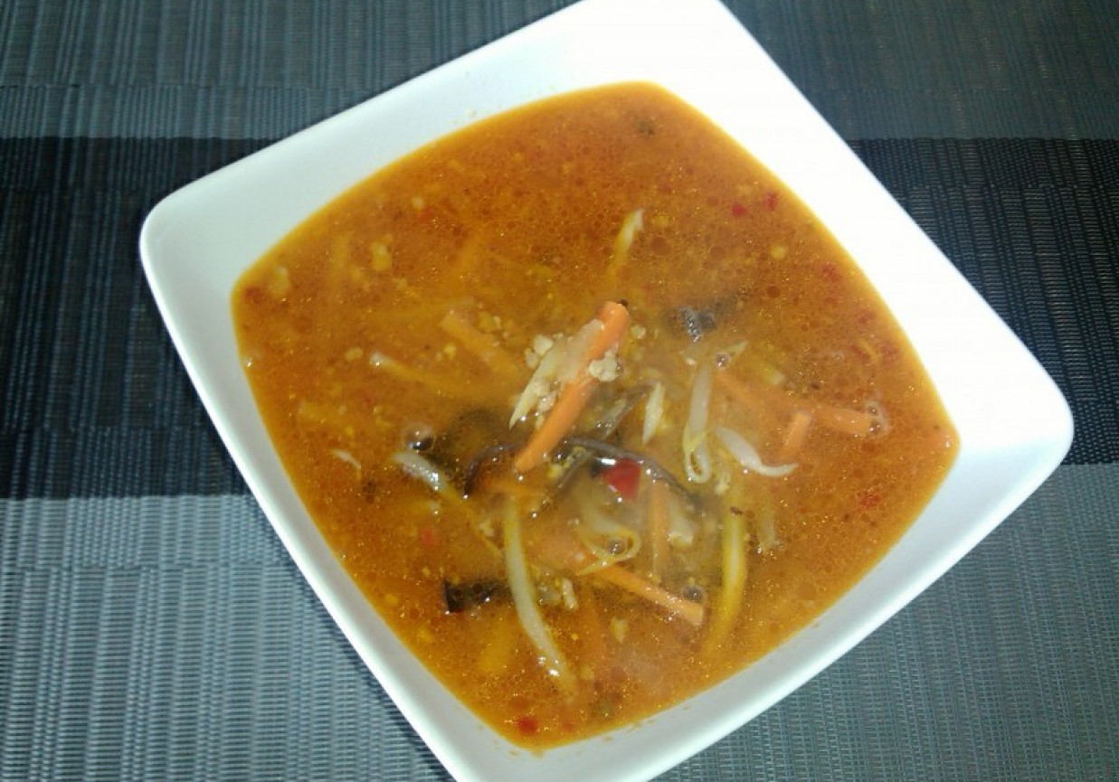 Zupa chińska ostro-kwaśna z mięsem mielonym foto