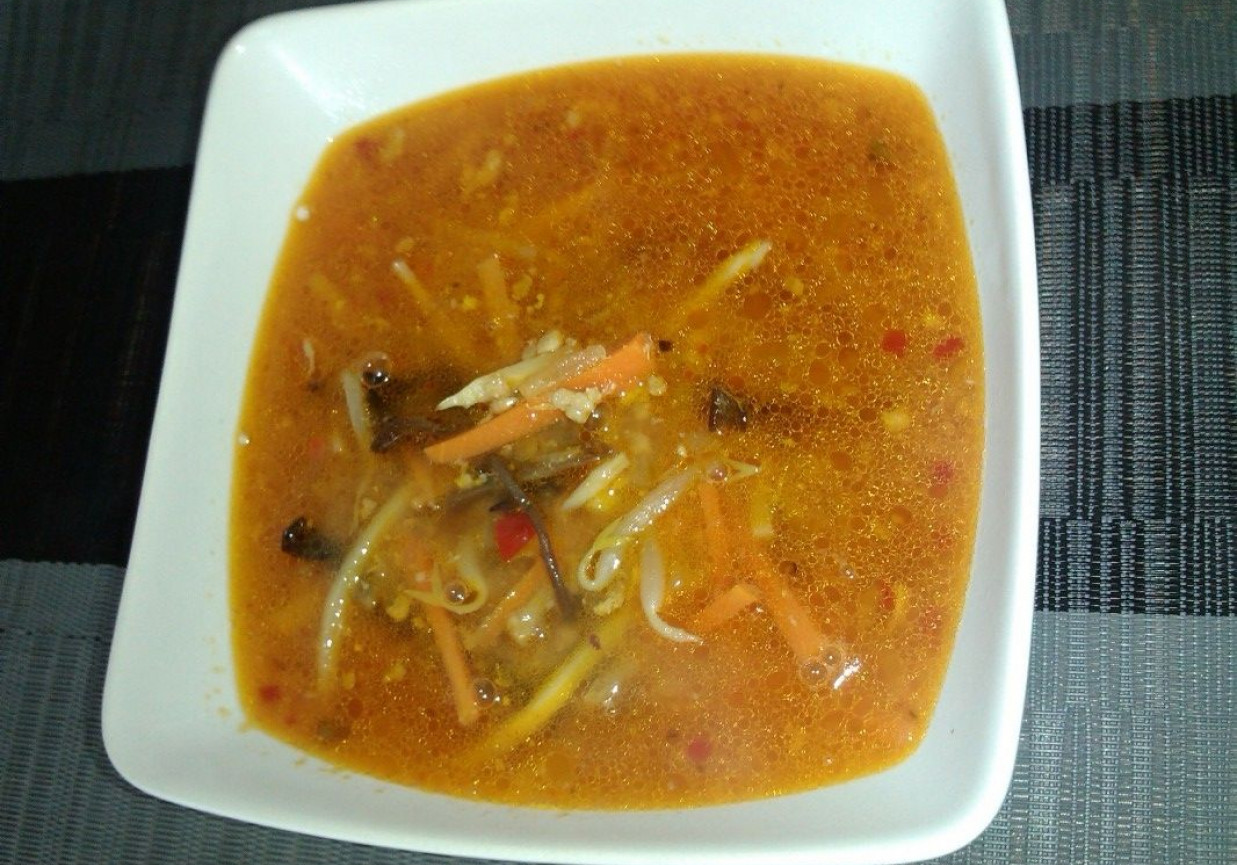 Zupa chińska ostro-kwaśna z mięsem mielonym foto