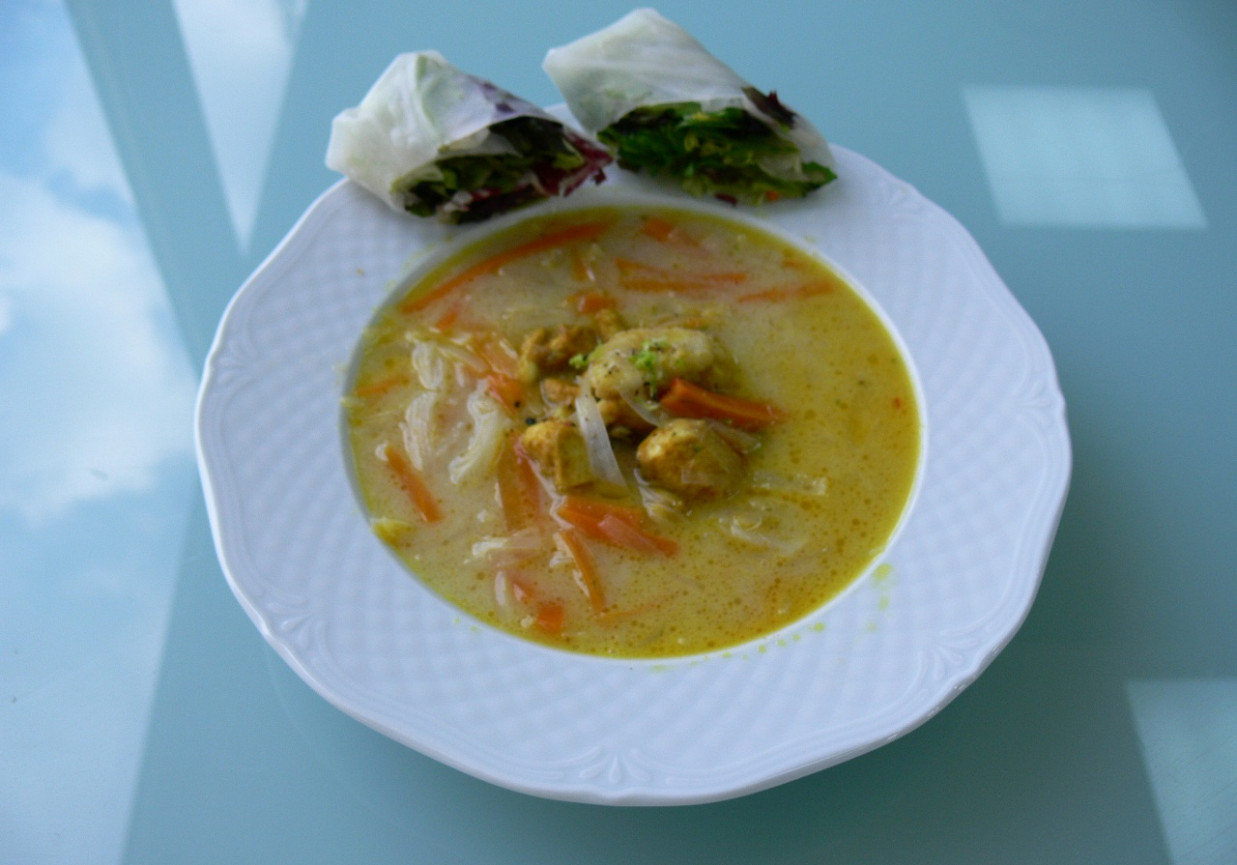 Zupa curry z kurczakiem i sajgonkami foto