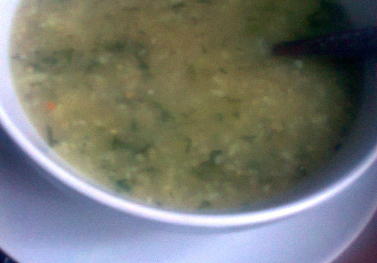 Zupa czosnkowa z kaszą foto