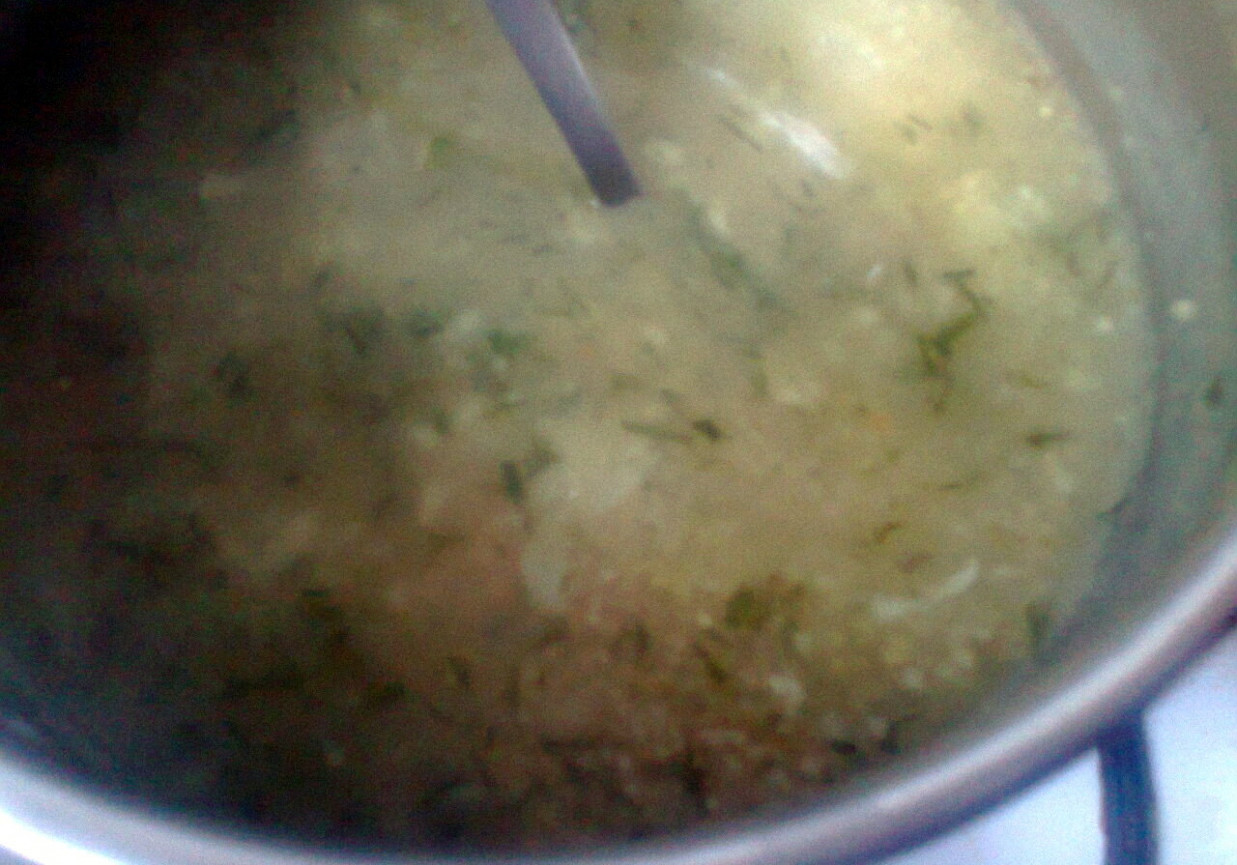 Zupa czosnkowa z kaszą foto
