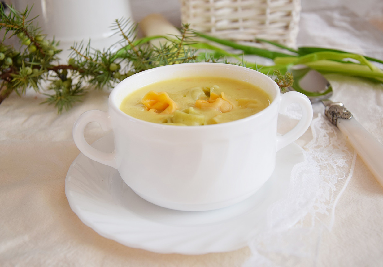 Zupa czosnkowo-porowa foto