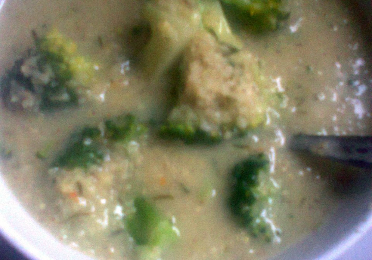 zupa czosnkowo-brokułowa foto