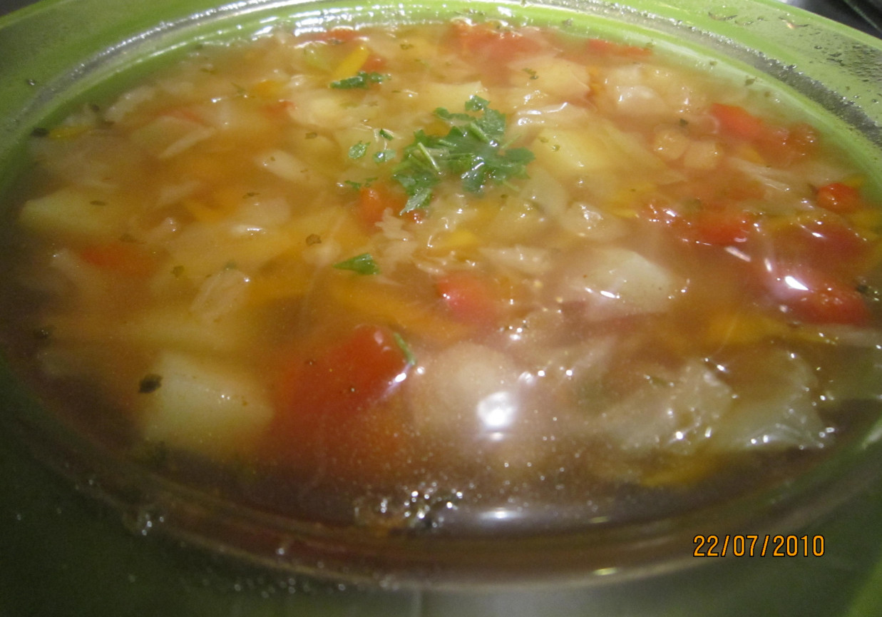 Zupa dietetyczna foto