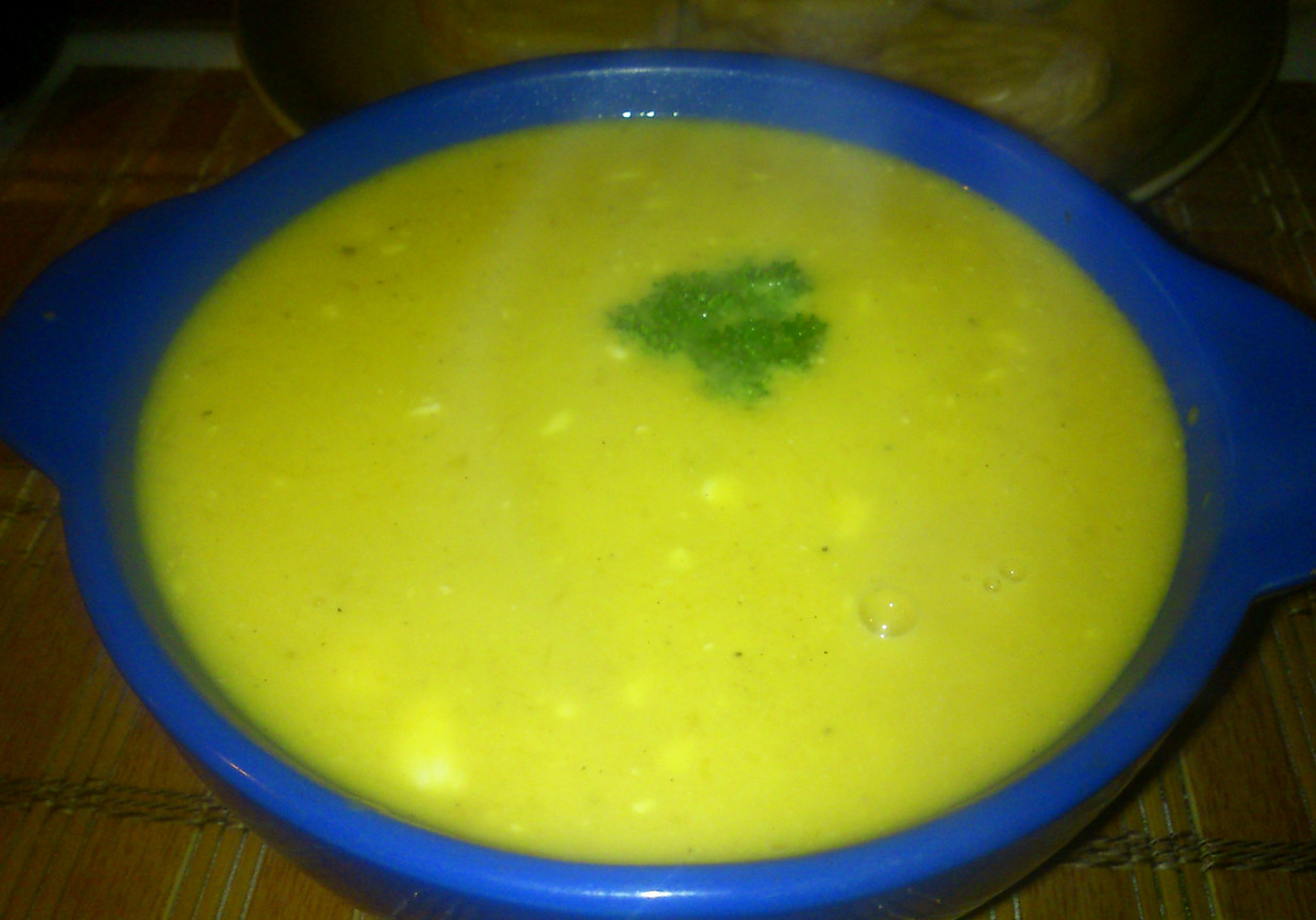 Zupa dyniowa od Hamrocyka foto