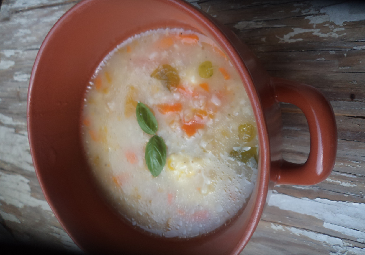 Zupa dyniowo-marchewkowa -roszponką i mozzarellą wzbogacona :) foto