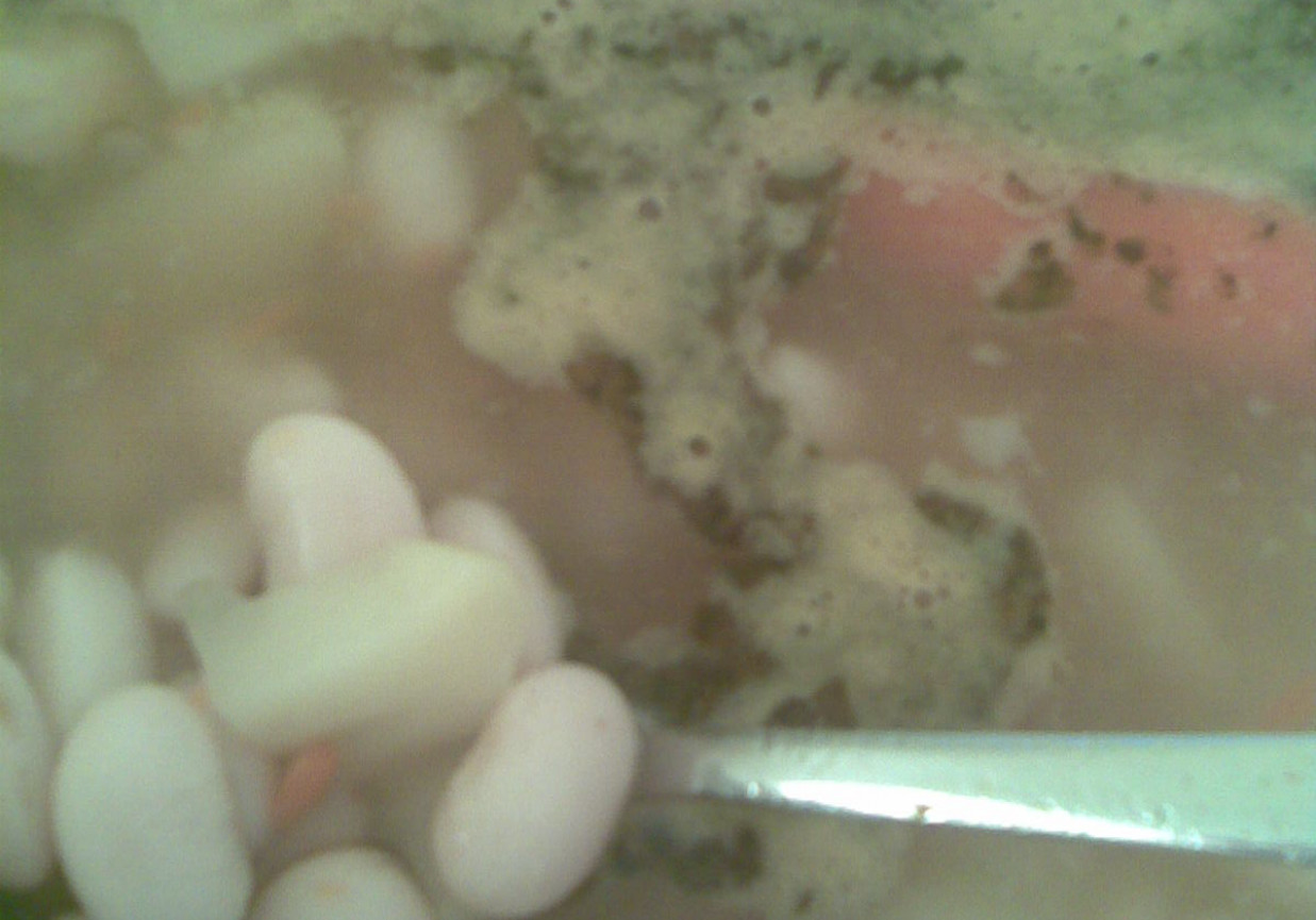 Zupa fasolowa na wędzonce foto