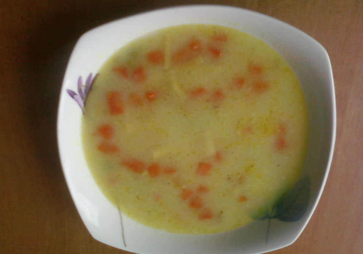 zupa fasolowa z marchewką i groszkiem foto