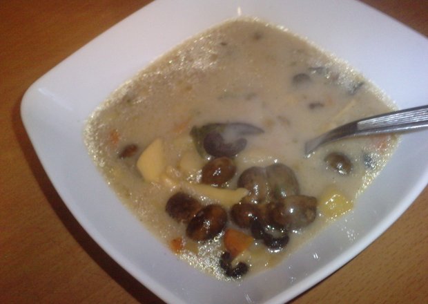 Fotografia przedstawiająca Zupa grzybowa 2