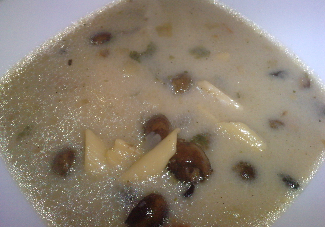 Zupa grzybowa 2 foto