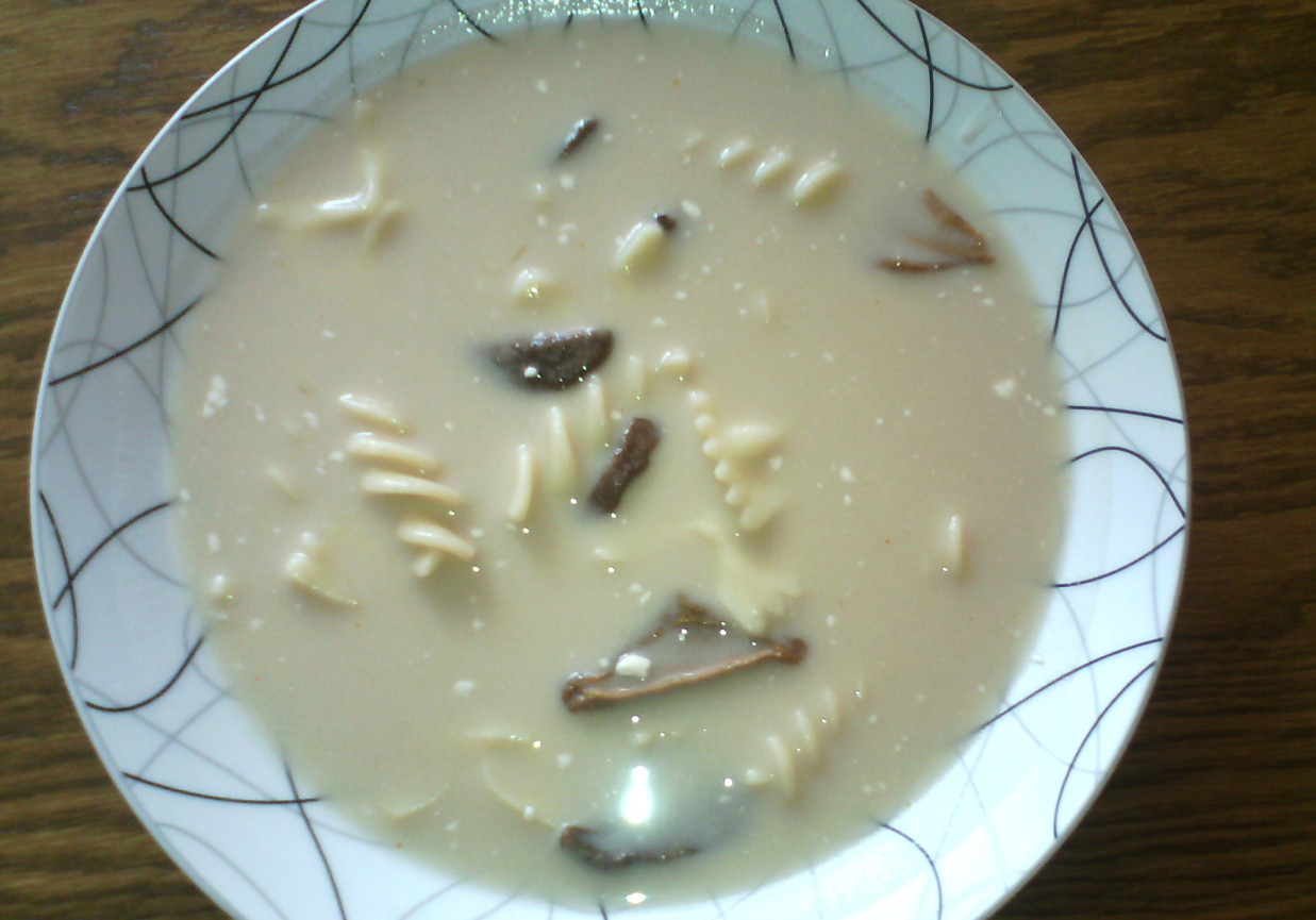 Zupa grzybowa babci Mieci foto