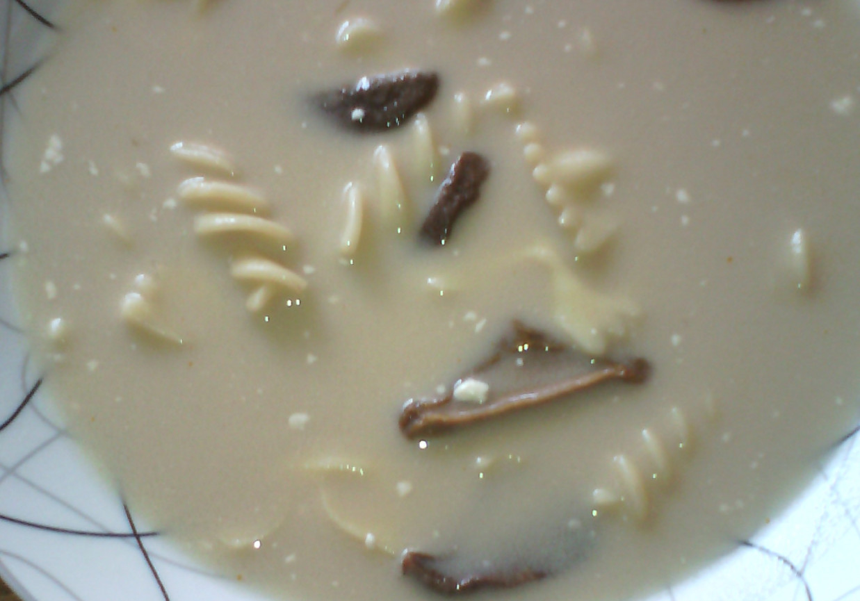 Zupa grzybowa babci Mieci foto