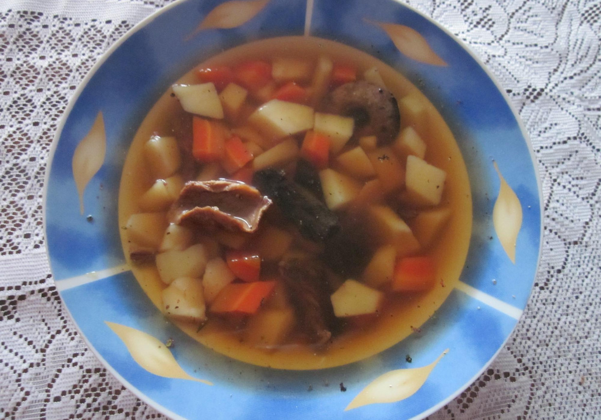 Zupa grzybowa czysta foto