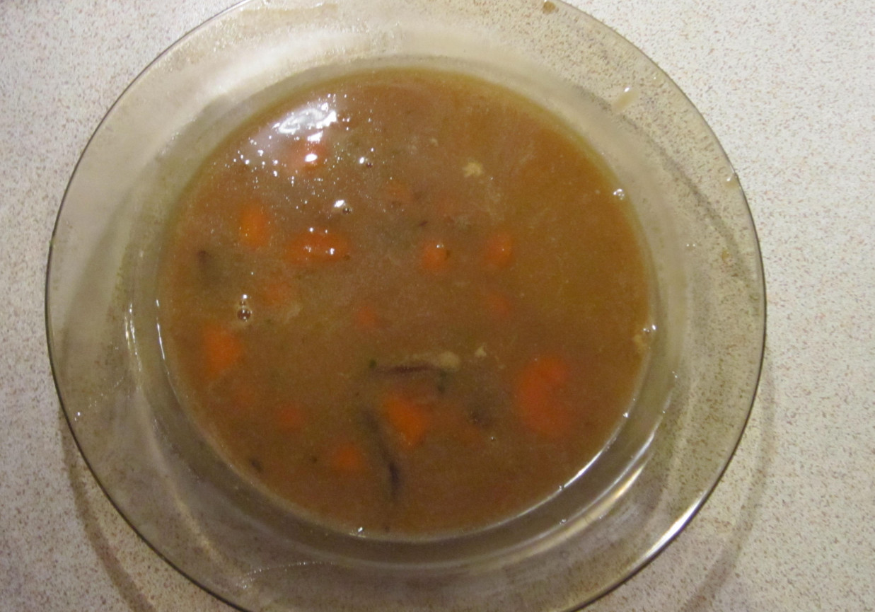 Zupa grzybowa czysta foto