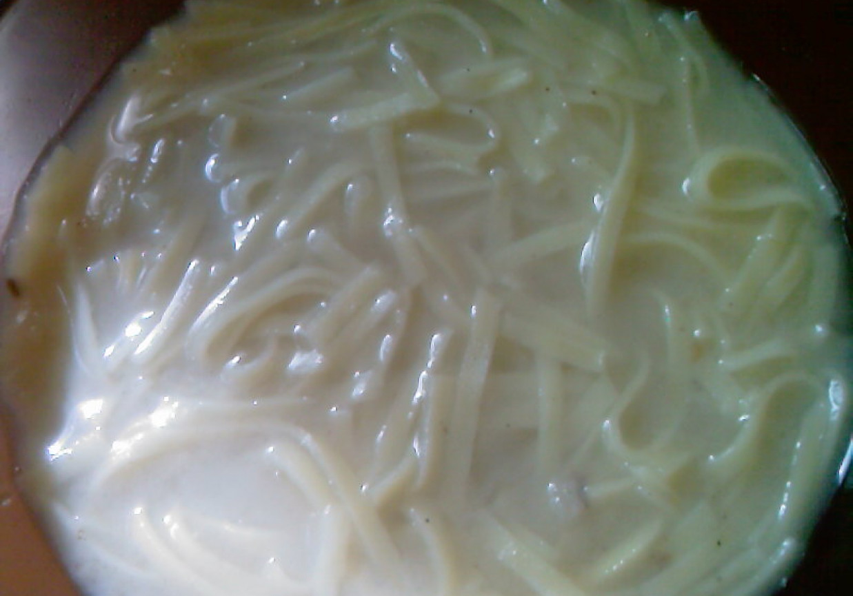 Zupa grzybowa na rosole foto