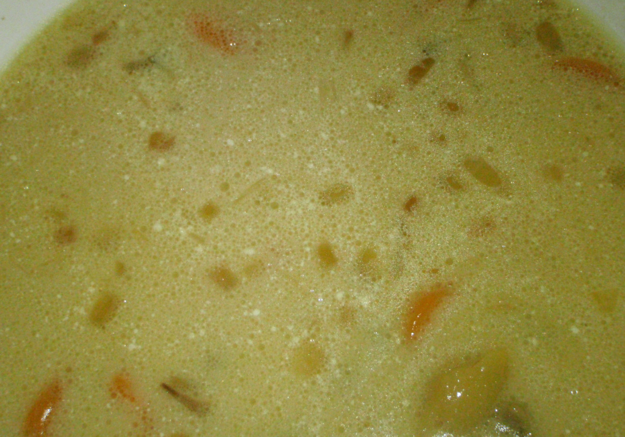 Zupa grzybowa na wywarze z gęsi foto