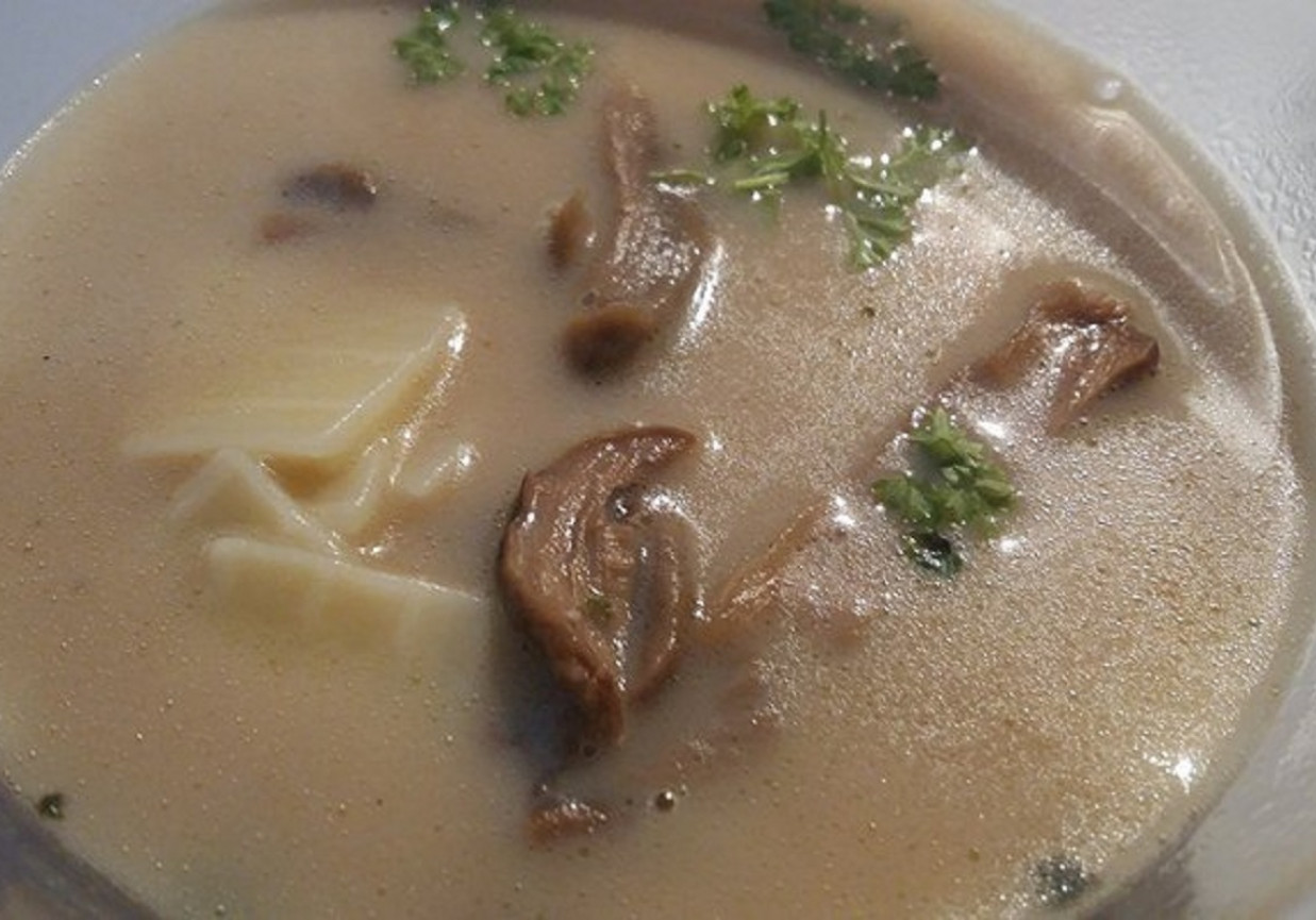 Zupa grzybowa z borowików z łazankami i pietruszką foto