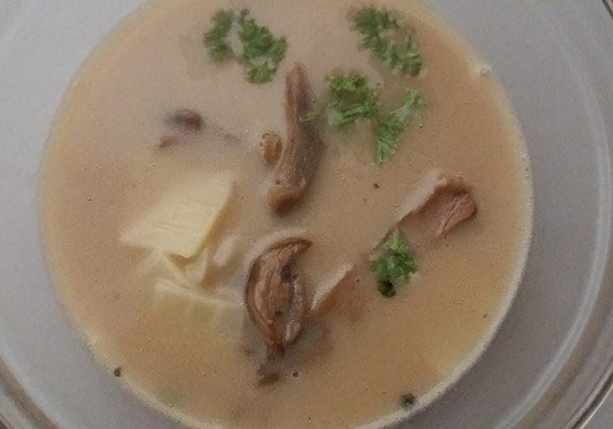 Zupa grzybowa z borowików z łazankami i pietruszką foto