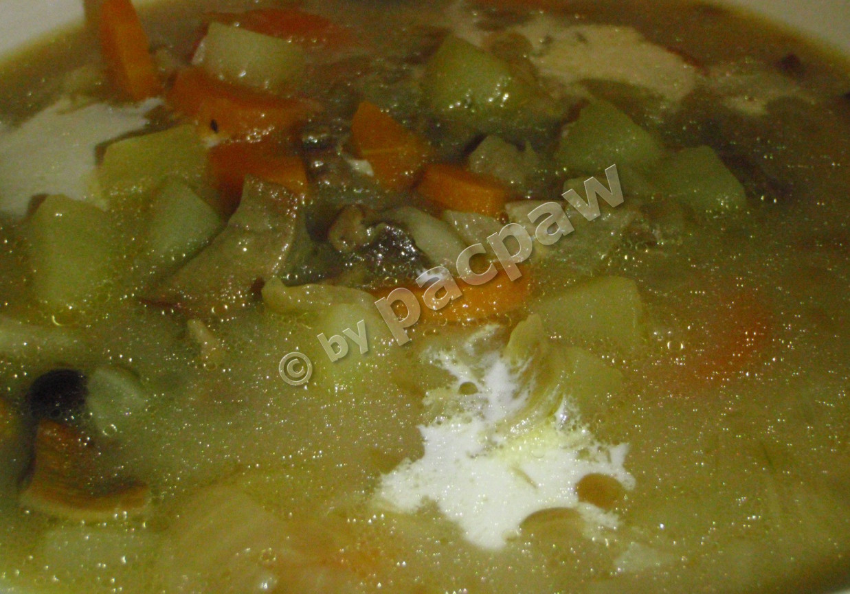 Zupa grzybowa z cebulką i warzywami foto