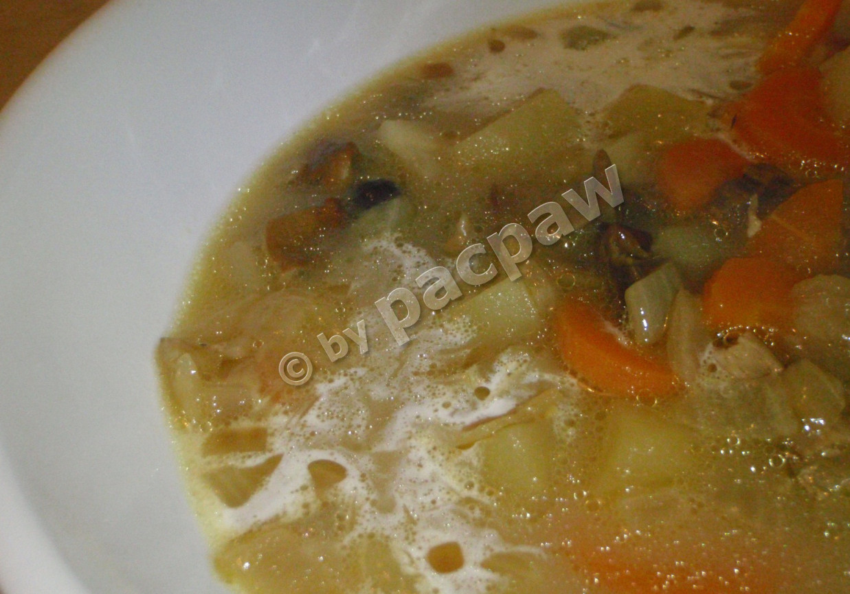 Zupa grzybowa z cebulką i warzywami foto