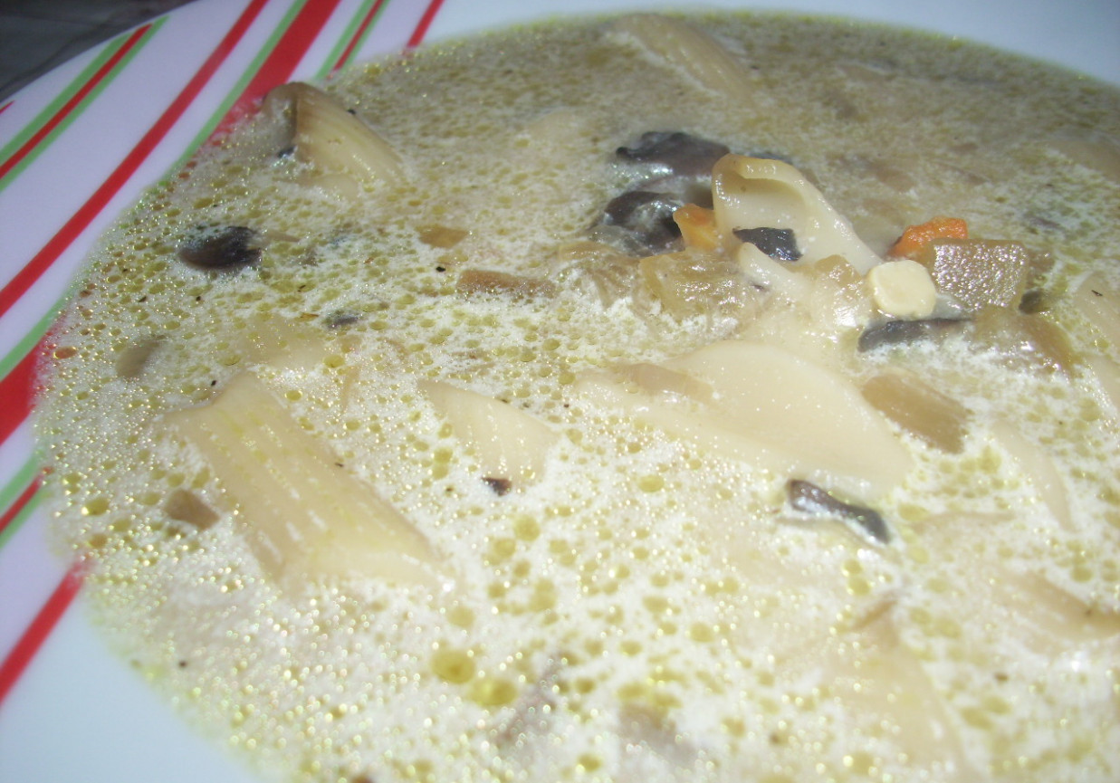 Zupa grzybowa z cukinią foto