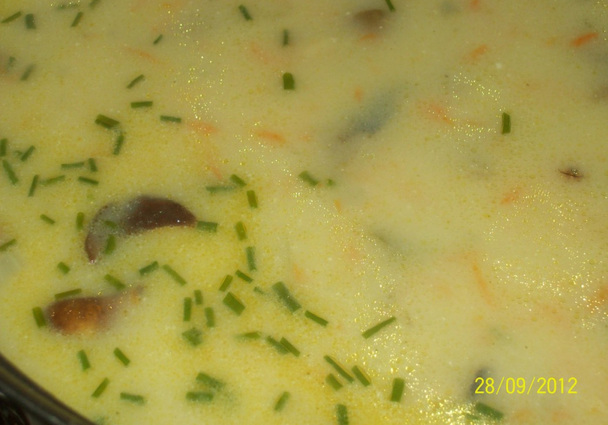Zupa grzybowa z gąsek. foto