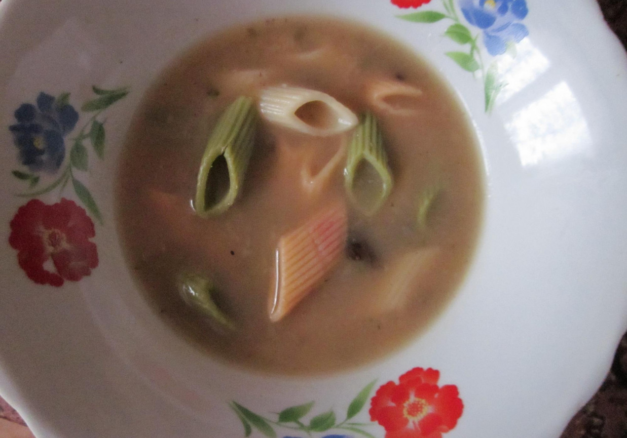 Zupa grzybowa z kolorowym makaronem foto