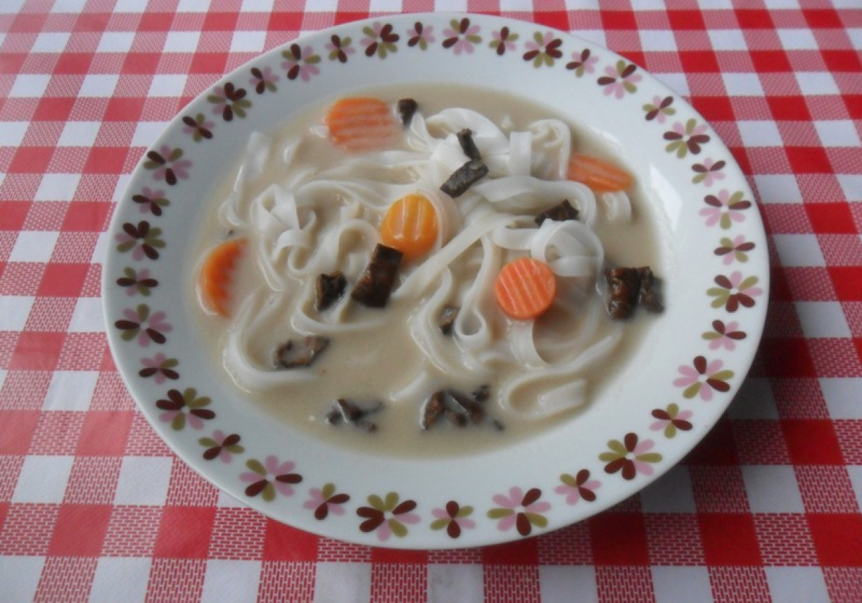 Zupa grzybowa z makaronem ryżowym foto
