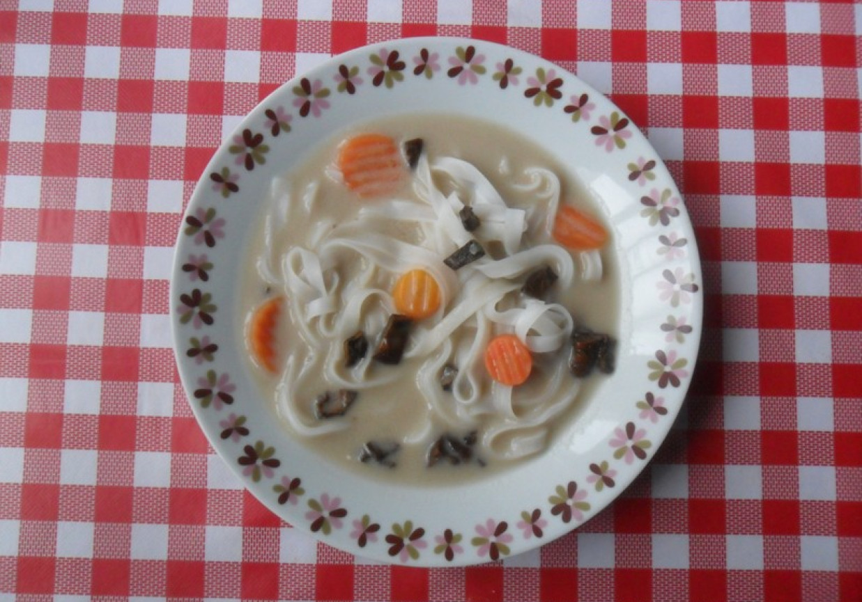 Zupa grzybowa z makaronem ryżowym foto