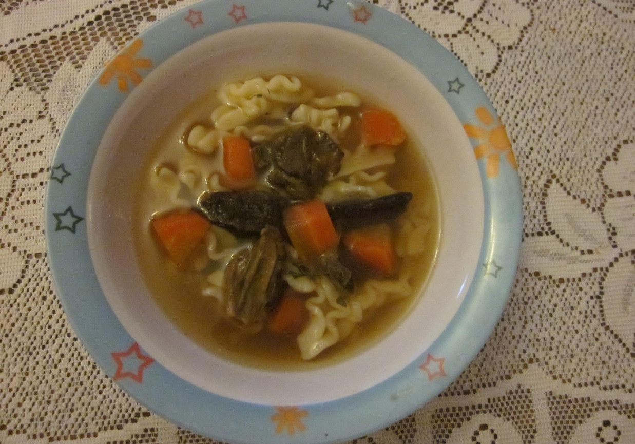 Zupa grzybowa z makaronem foto