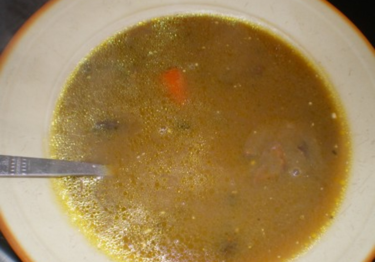 Zupa grzybowa z makaronem foto