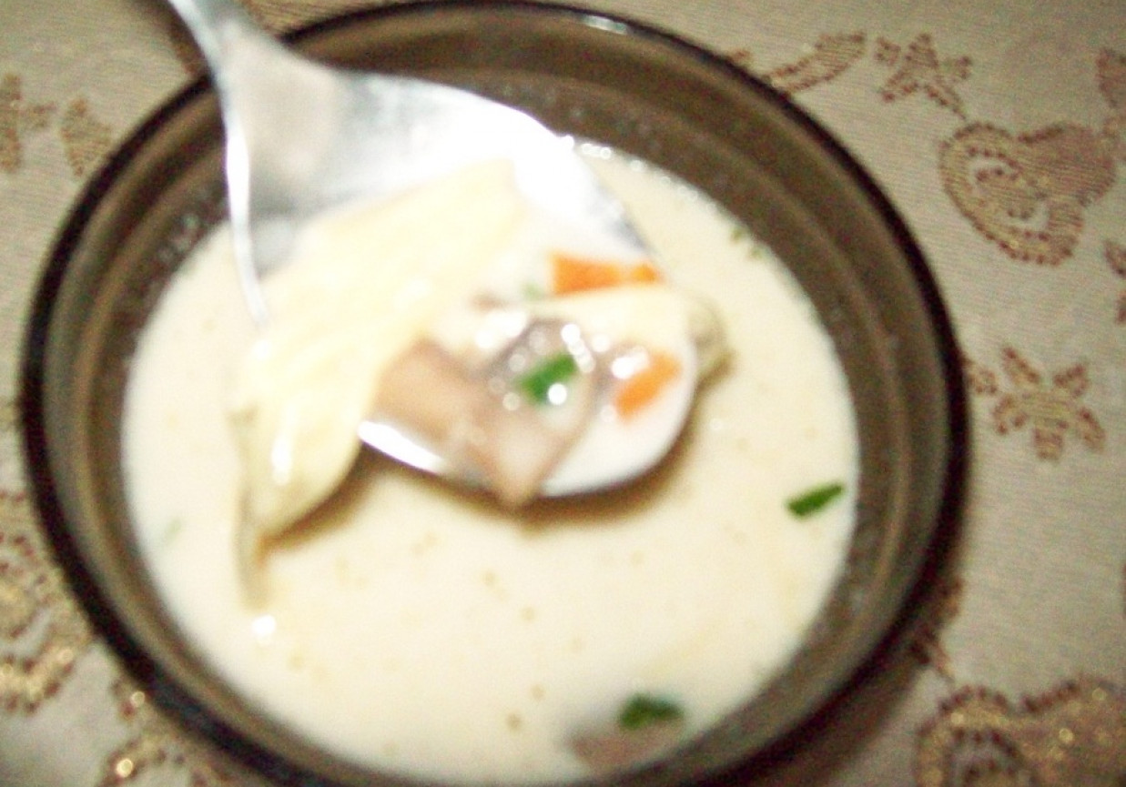 Zupa grzybowa z makaronem foto
