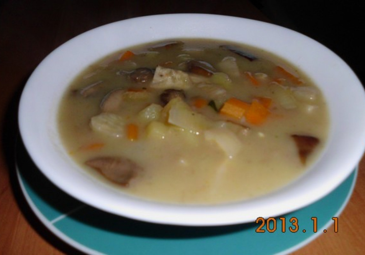 Zupa grzybowa z maślaków foto