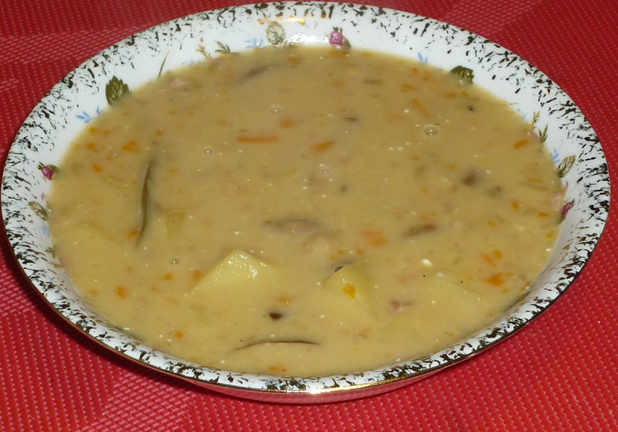 Zupa grzybowa z mięsem i warzywami foto