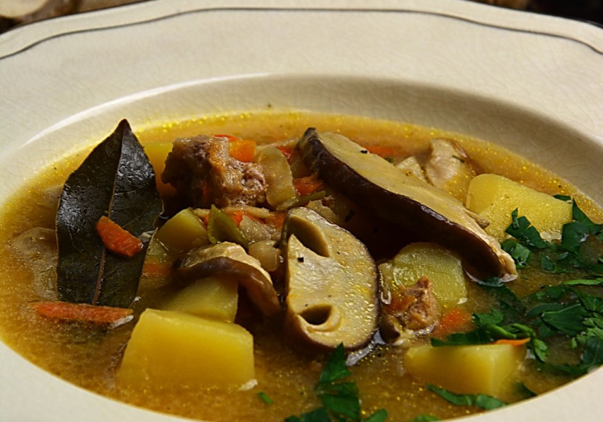 Zupa grzybowa z mięsem mielonym foto