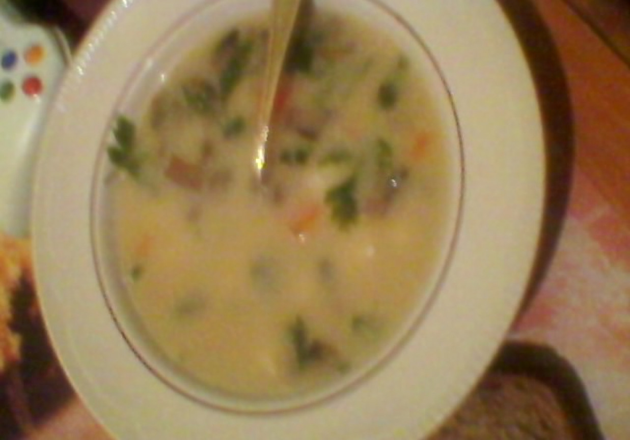 Zupa grzybowa z mlekiem foto