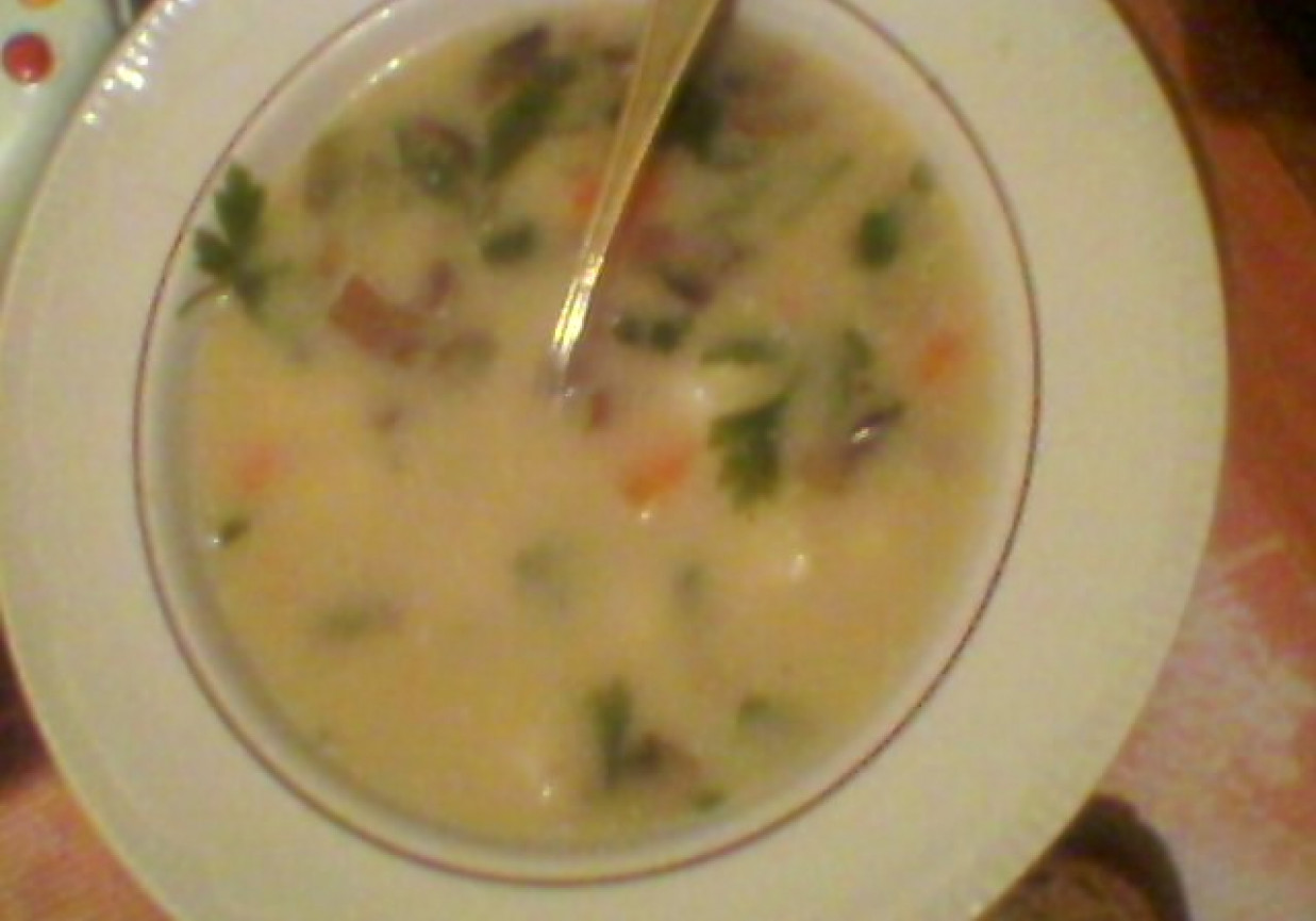 Zupa grzybowa z mlekiem foto