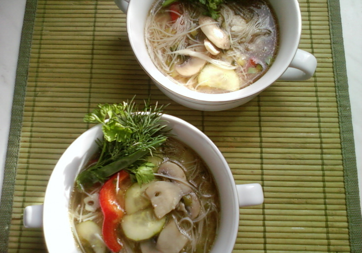 Zupa grzybowa z ogórkiem, papryką i makaronem ryżowym. foto