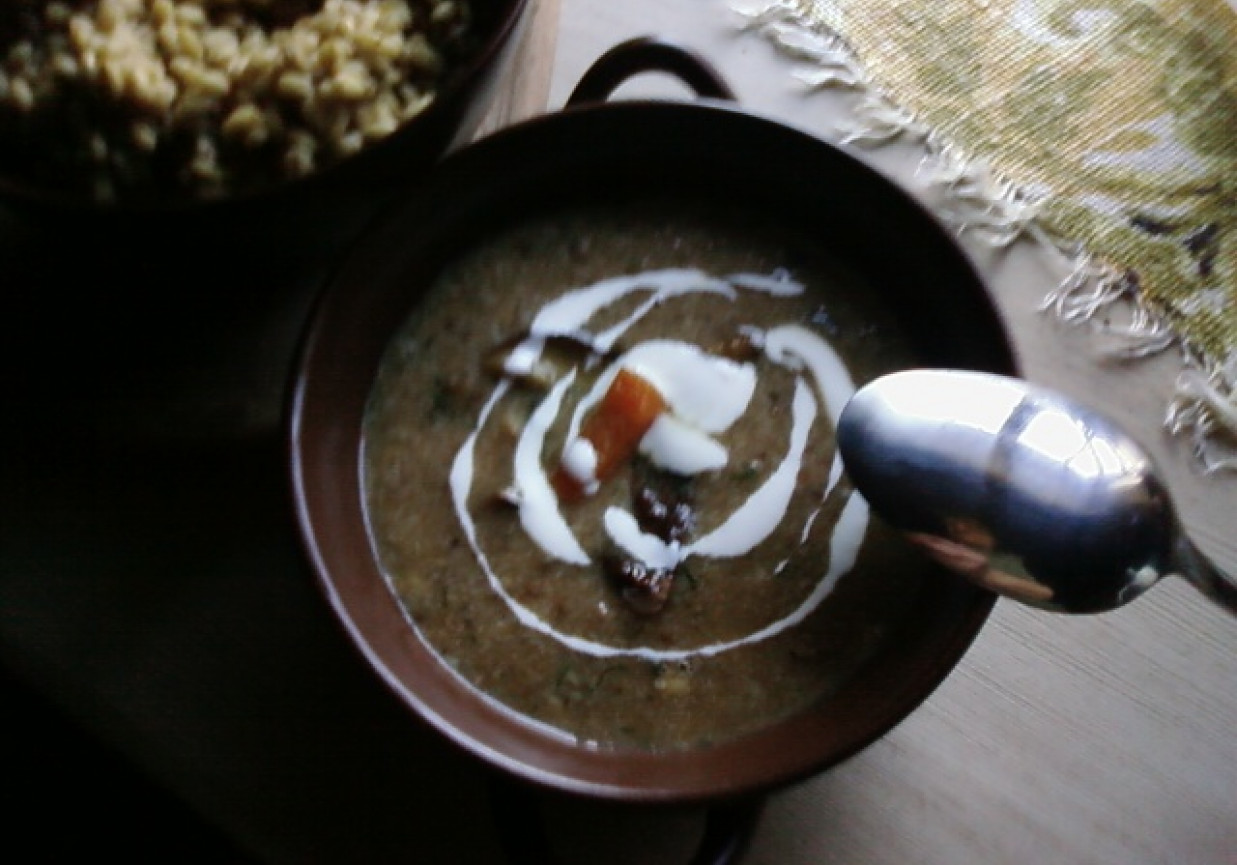 Zupa grzybowa z pęczakiem. foto