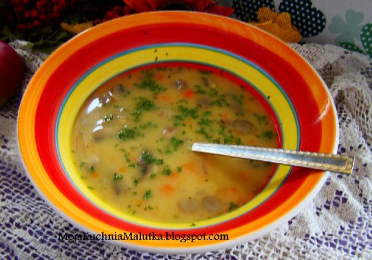 Zupa grzybowa z pieczrek i borowików foto