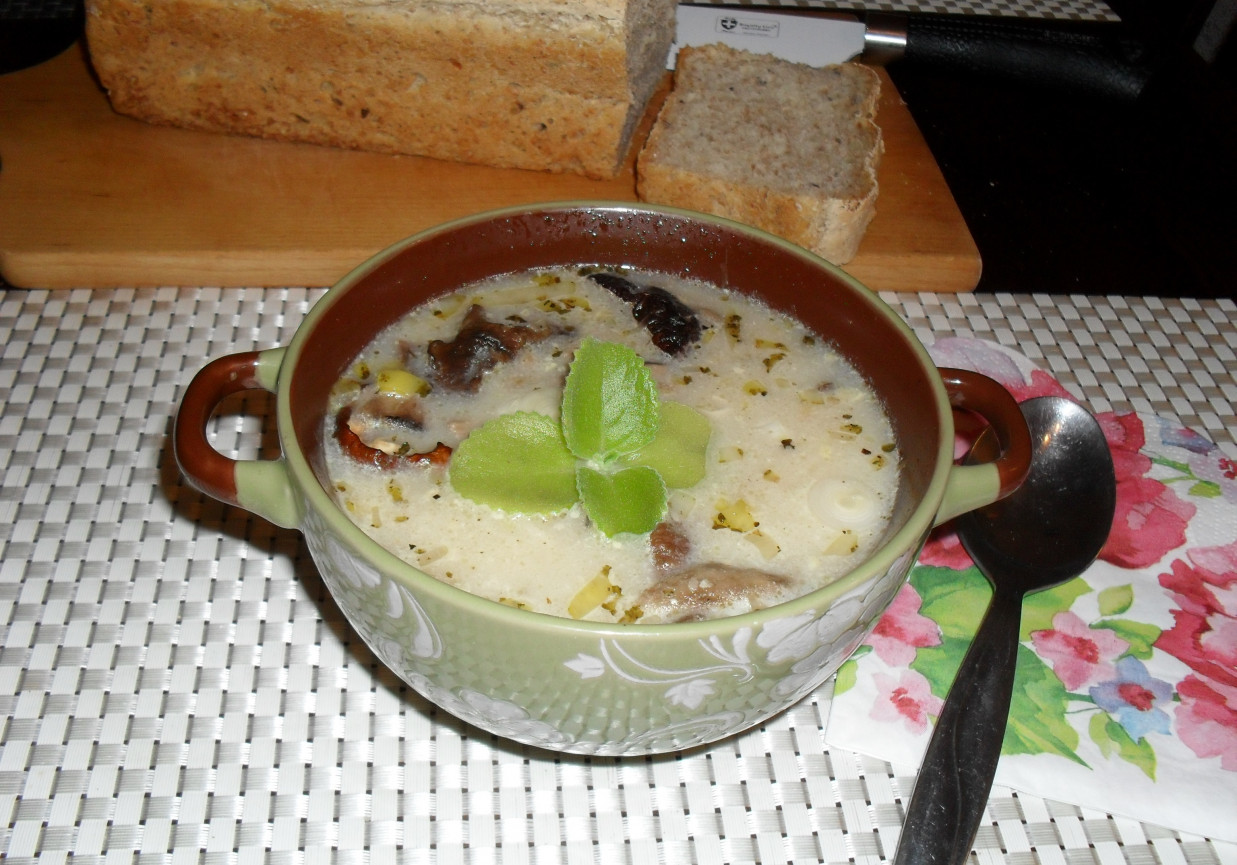 Zupa grzybowa z porem foto